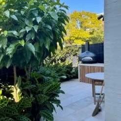 Polito Giotto Wood Fired Oven With Bench Stand -Primo Store BlackPolitoGiottowithBenchStand 007