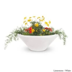 Cazo Planter Bowl - Concrete 9 Cazo Planter Bowl - Concrete -Primo Store CazoConcretePlanterBowlLimestone