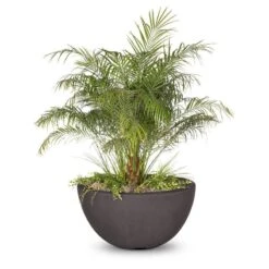 Luna Planter Bowl 10 Luna Planter Bowl -Primo Store Luna GFRC Planter Bowl Chestnut
