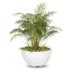 Luna Planter Bowl 13 Luna Planter Bowl -Primo Store Luna GFRC Planter Bowl Limmestone