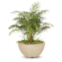 Luna Planter Bowl 15 Luna Planter Bowl -Primo Store Luna GFRC Planter Bowl Vanilla