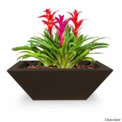 Maya Planter Bowl - Concrete 14 Maya Planter Bowl - Concrete -Primo Store MayaConcretePlanterBowlChocolate