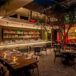 Bromic Platinum Smart-Heat Gas Outdoor Heater -Primo Store PlatinumSmartHeatGasHeaterCeilingMounted